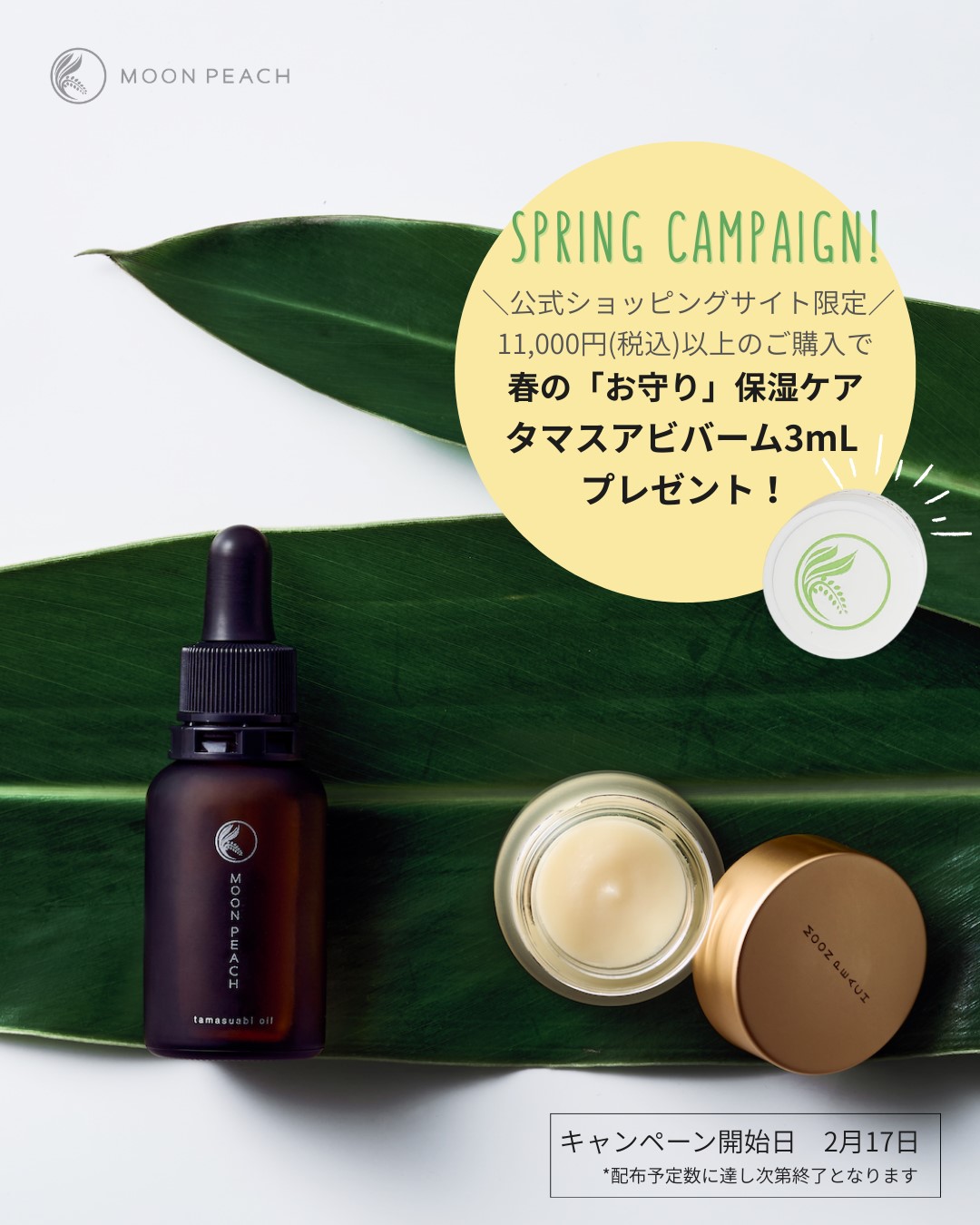 top_result12.jpg?t=20260217171844