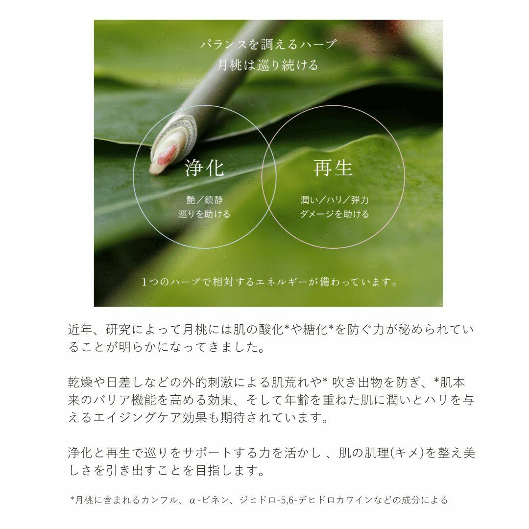 月桃が持つ恵みと巡り